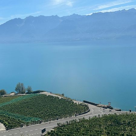 Room With 360° View Overlooking Lake Geneva And Alps Puidoux Esterno foto