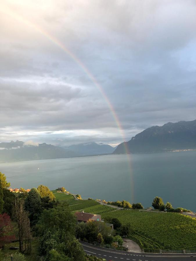 Room With 360° View Overlooking Lake Geneva And Alps Puidoux Esterno foto