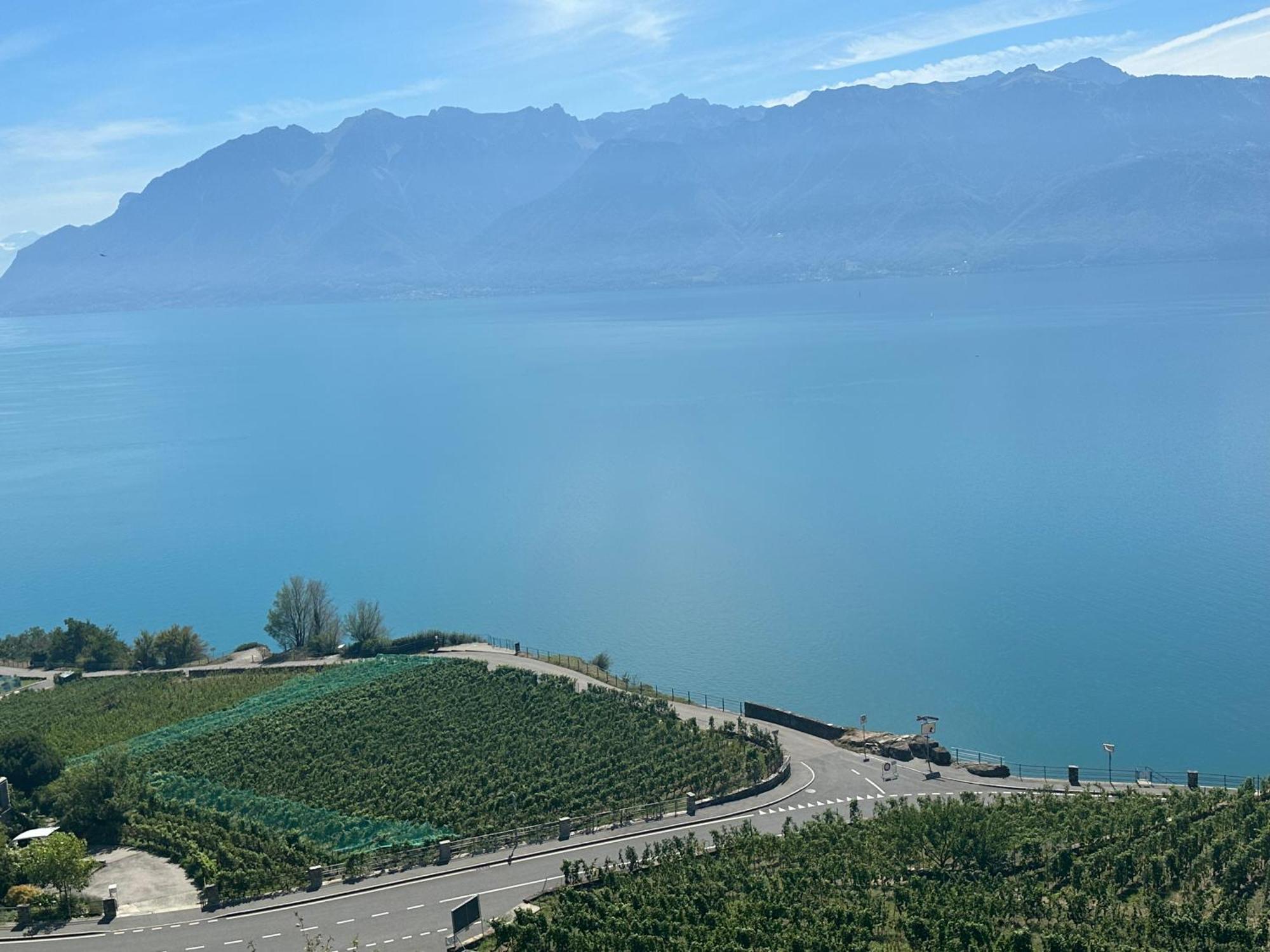 Room With 360° View Overlooking Lake Geneva And Alps Puidoux Esterno foto